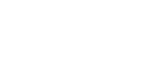 Palmapp